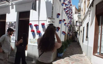 El Movimiento Ciudadano se une a las criticas de las flores de plástico como reclamo turístico en el Casco Histórico