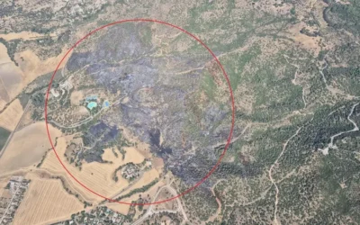 El CMC pide, tras el incendio en La Albaida, un plan de emergencias municipal en Córdoba en el que «primen las personas»