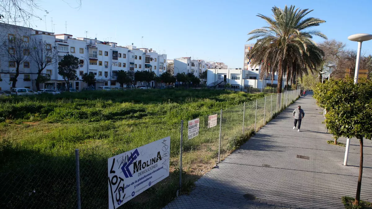 Al-Zahara reclama actuaciones "inmediatas" en el distrito Sur y San Rafael de la Albaida
