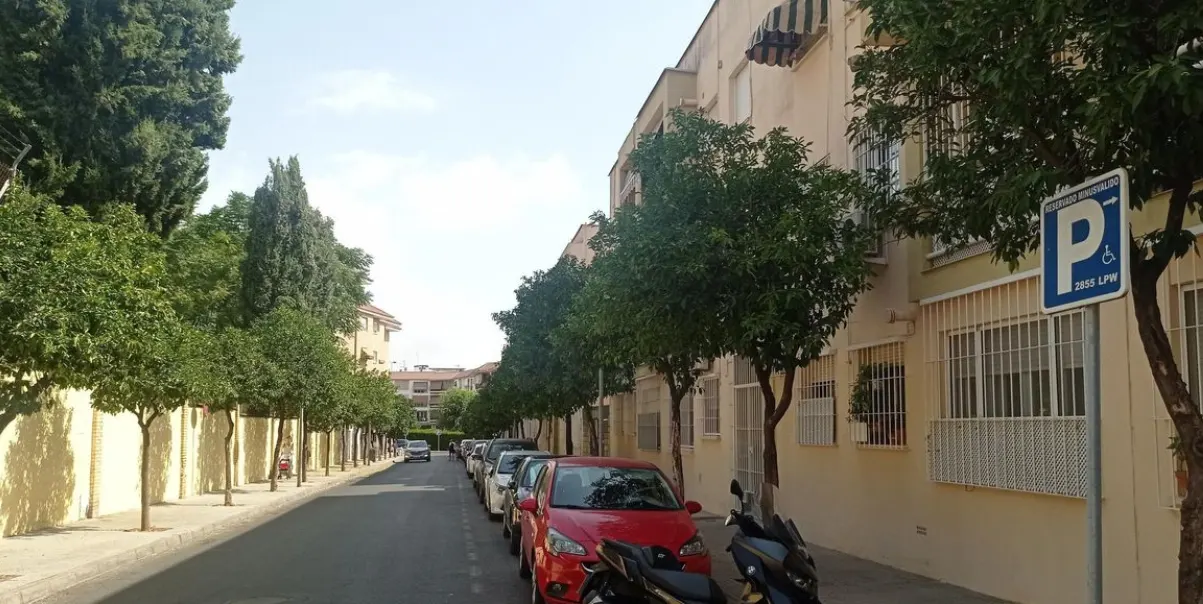 Diagnostico arbolado Córdoba exceso naranjos podas inadecuadas