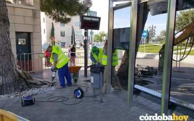 La Asociación Vecinal Puente Romano reclama reponer las paradas de bus en el Reina Sofía
