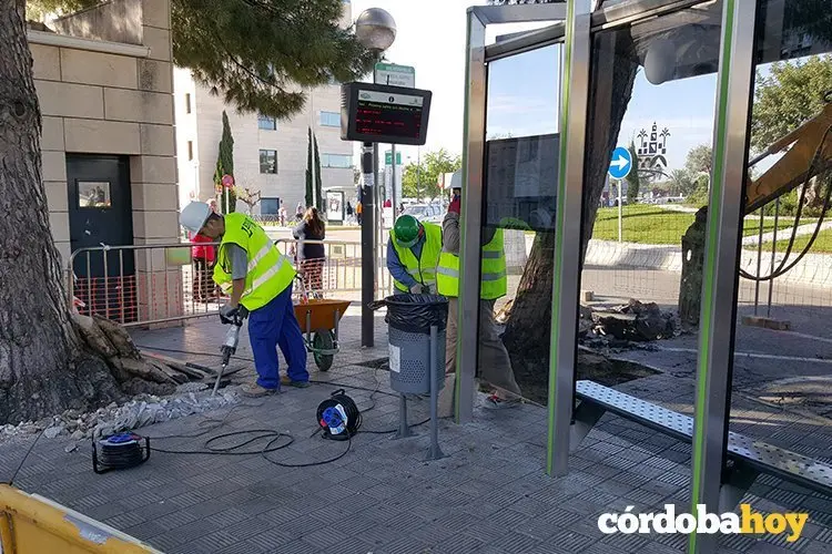 La Asociación Vecinal Puente Romano reclama reponer las paradas de bus en el Reina Sofía