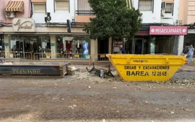 El CMC reclama que los consejos de distrito supervisen las obras relevantes