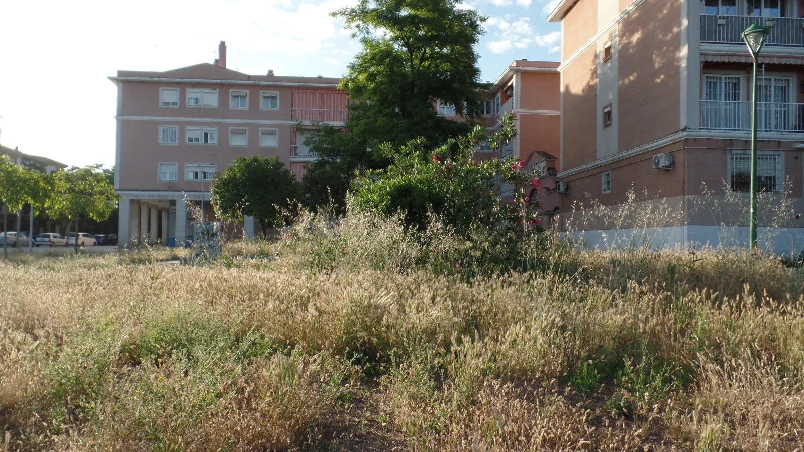 El barrio del Guadalquivir denuncia el abandono de espacios y que el proyecto de Cinturón Verde ignore el sur de Córdoba