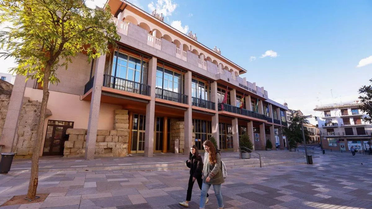 El Consejo del Movimiento Ciudadano exige al Ayuntamiento de Córdoba que detalle los proyectos afectados por el plan económico-financiero
