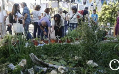 El Movimiento Ciudadano pide renaturalizar más zonas en la ciudad y dotar el Plan de Arbolado de más medios